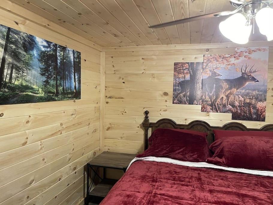 Creekside 3 Bedroom 2 Bath Cabin On Private Creek Banner Elk Zewnętrze zdjęcie