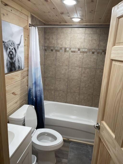 Creekside 3 Bedroom 2 Bath Cabin On Private Creek Banner Elk Zewnętrze zdjęcie
